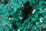 Gemmy Dioptase Crystal Cluster - Congo #129549-2